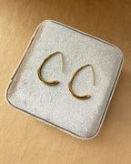 Lunar Curve Earrings